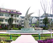 崇明天气预报一周