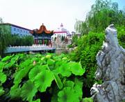 津南天气预报40天