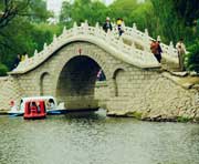 阿城天气预报10天