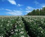 克山天气预报一周