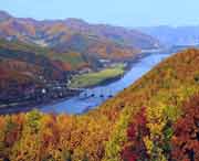 林口天气预报40天