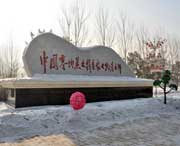 绥化天气预报一周