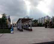 青冈天气预报一周