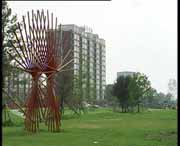 铁力天气预报一周