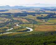 饶河天气预报40天