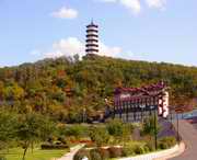 九台天气预报一周