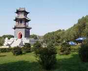 榆树天气预报一周