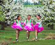 龙井天气预报一周