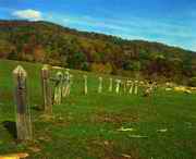 临江天气预报一周