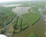 安新天气预报40天