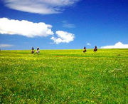 蔚县天气预报一周