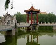 临城天气预报10天