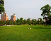 大宁天气预报10天