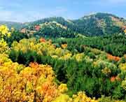 蒲县天气预报一周