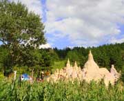 石楼天气预报10天