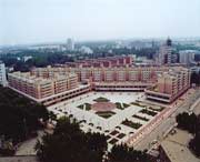 高陵天气预报10天