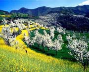 淳化天气预报一周