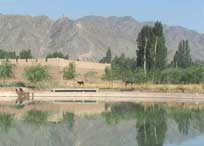 横山天气预报40天