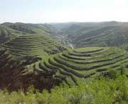 米脂天气预报15天