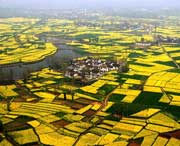 汉中天气预报10天