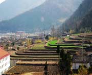 佛坪天气预报一周