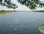 商河天气预报10天