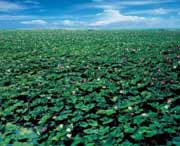 微山天气预报一周