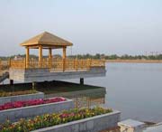 成武天气预报10天