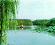 滨城天气预报40天