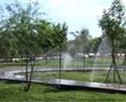 若羌天气预报一周