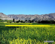 尼木天气预报一周