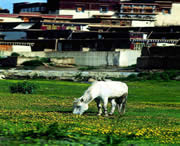 洛扎天气预报一周