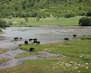 加查天气预报10天