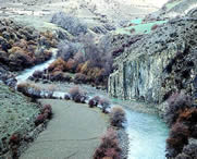 类乌齐天气预报40天