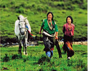 安多天气预报10天