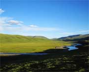 泽库天气预报一周