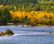 贵德天气预报一周