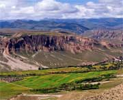 兴海天气预报一周