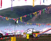 曲麻莱天气预报一周