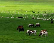 海北州天气预报一周