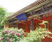 陇西天气预报10天