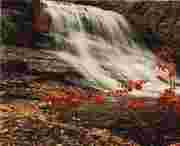 华亭天气预报一周