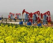 西峰天气预报一周