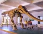 合水天气预报一周