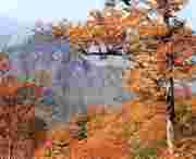 武山天气预报10天