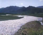 迭部天气预报10天