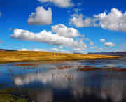 碌曲天气预报15天