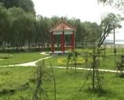 原阳天气预报一周