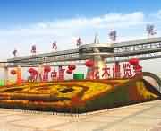 鄢陵天气预报15天