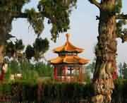 长葛天气预报一周